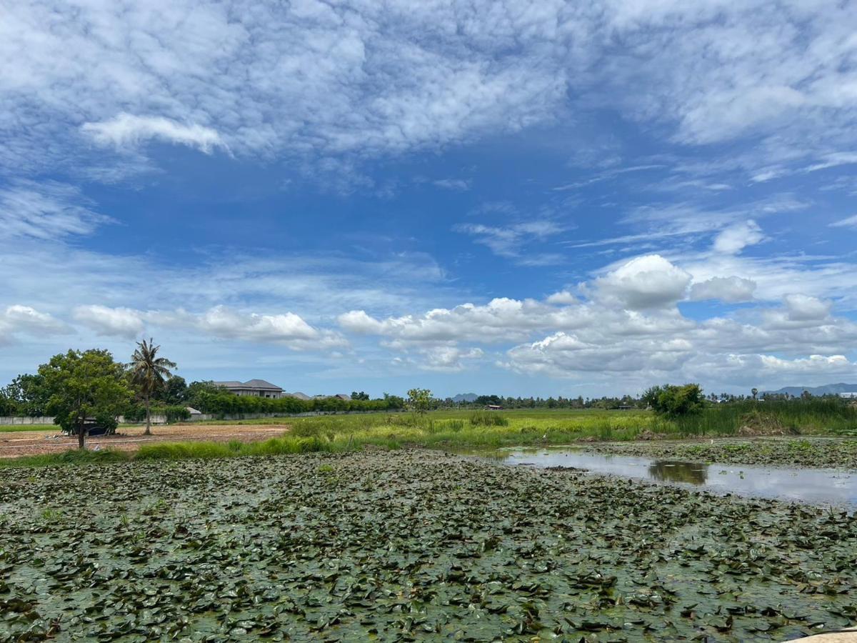 On Green Resort Ban Huai Sua Экстерьер фото
