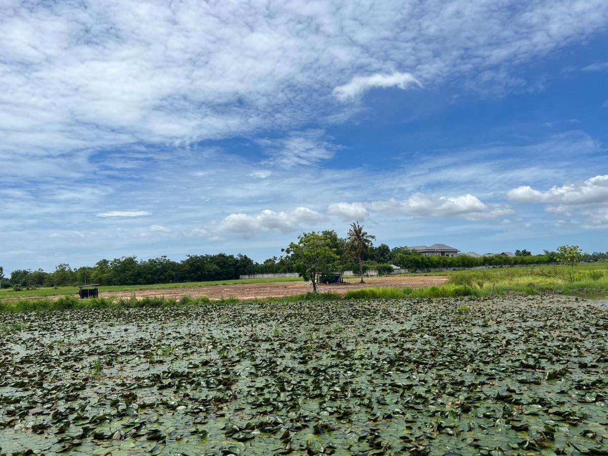 On Green Resort Ban Huai Sua Экстерьер фото