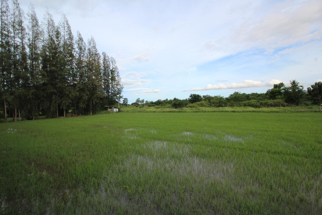 On Green Resort Ban Huai Sua Экстерьер фото