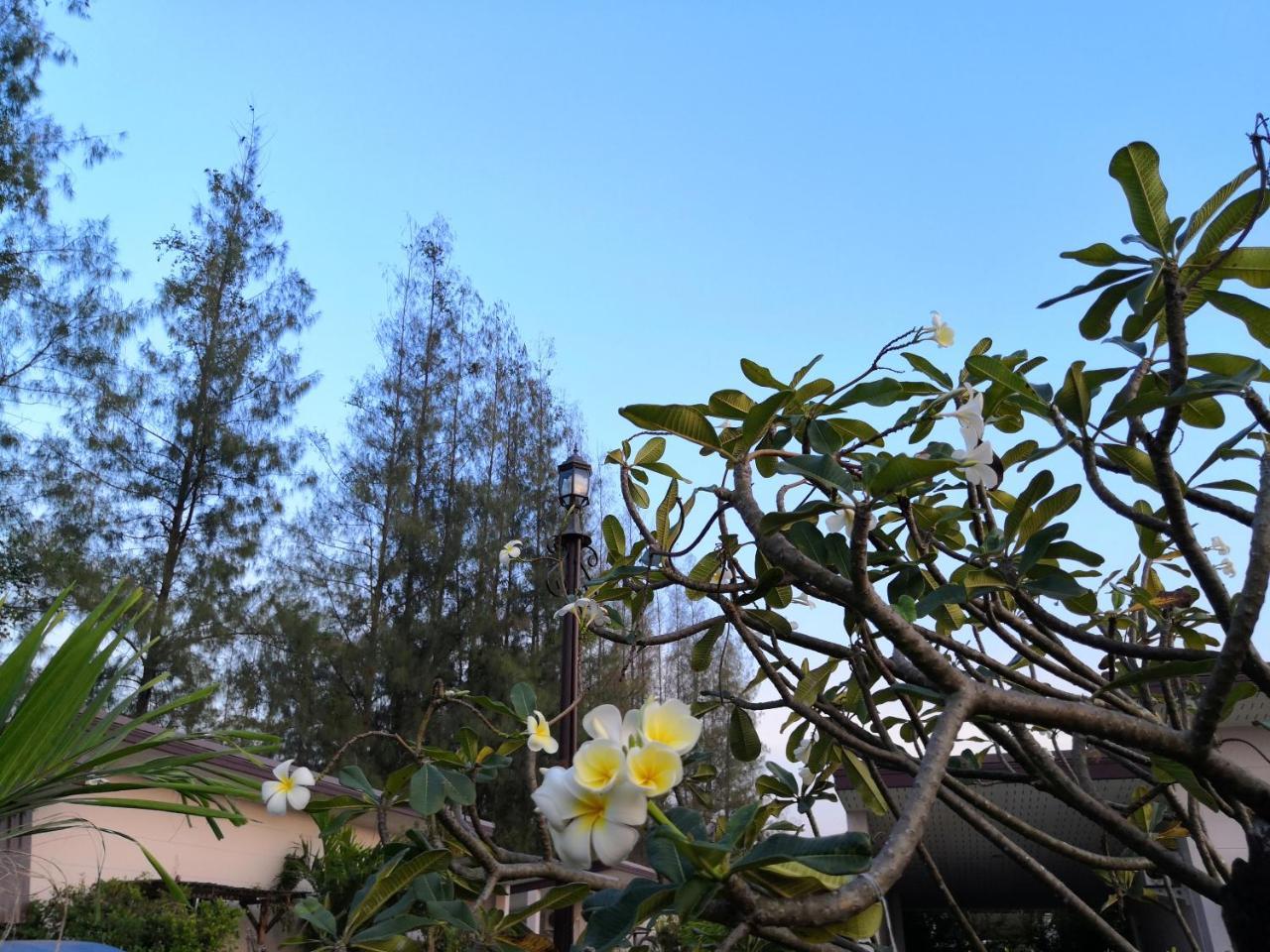 On Green Resort Ban Huai Sua Экстерьер фото