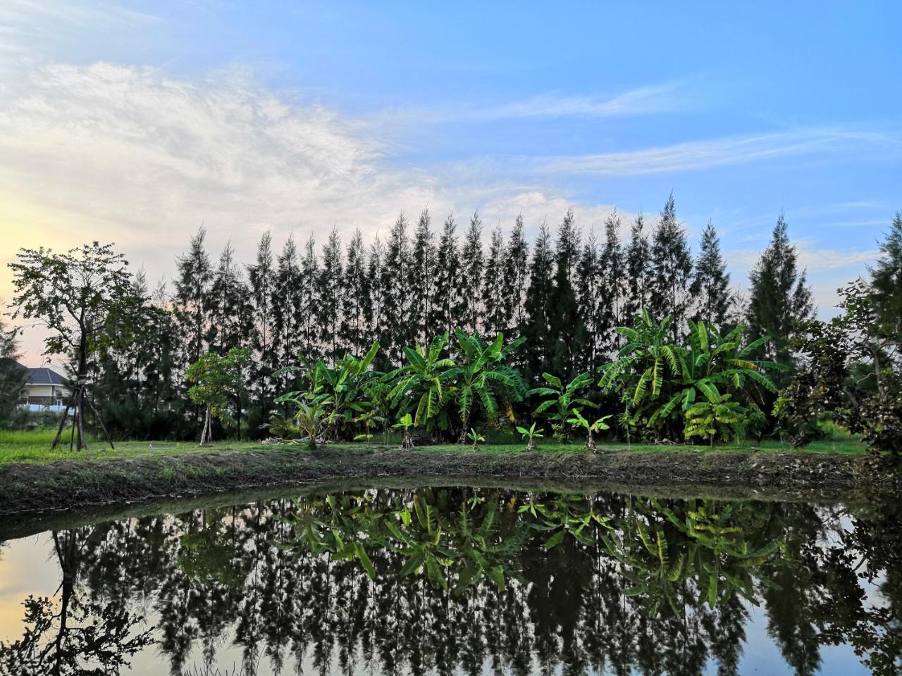 On Green Resort Ban Huai Sua Экстерьер фото